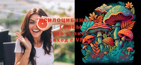 ГАЛЛЮЦИНОГЕННЫЕ ГРИБЫ Абинск
