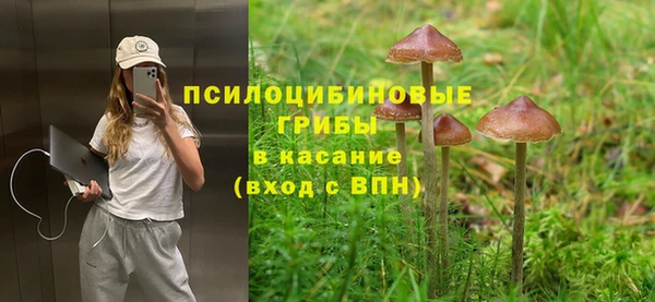 прущая мука Абдулино