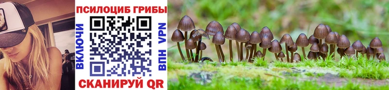 Галлюциногенные грибы MAGIC MUSHROOMS  это телеграм  Донской  купить наркотики сайты 